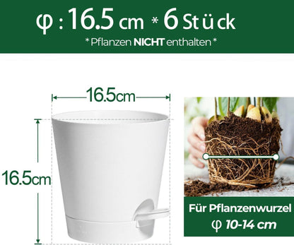 T4U 16,5cm Selbstbewässernder Kunststoff Blumentopf 6er-Set