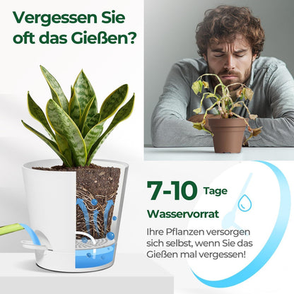 T4U 16,5cm Kunststoff Selbstbewässerung Übertopf 6er-Set