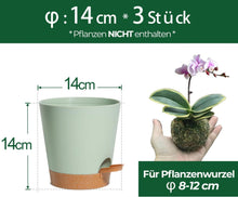 T4U Blumentopf 14cm Selbstbewässerung 3er-Set Untersetzer