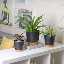 T4U 20cm Kunststoff Selbstbewässerung Blumentopf 3er-Set