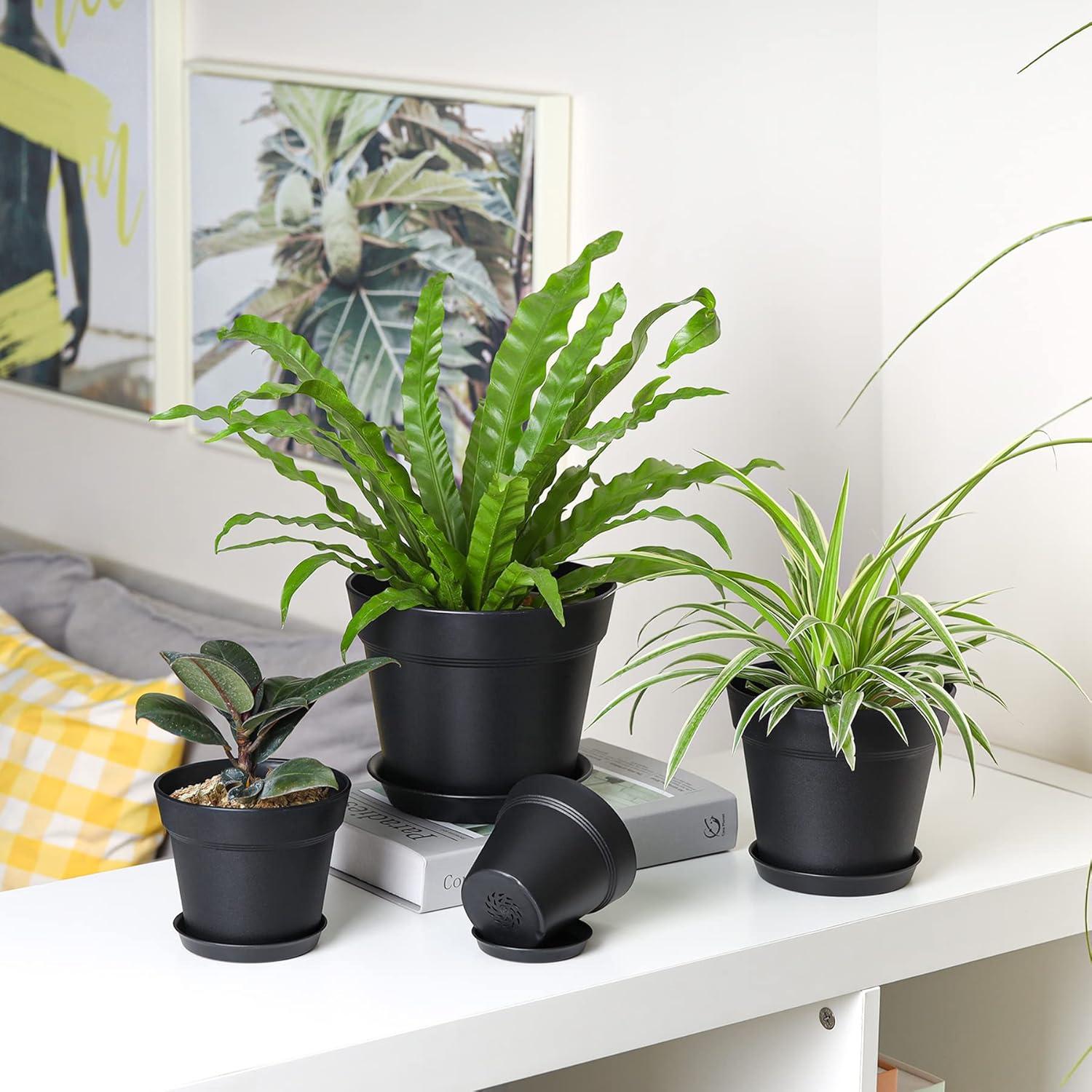 T4U 12,5cm Kunststoffblumentopf mit Untersetzer, 6er-Set für Sukkulenten und Kaktusse