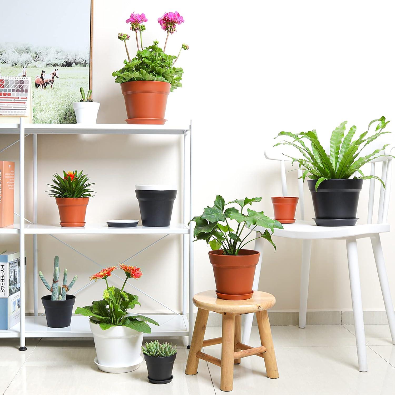 T4U 12,5cm Kunststoffblumentopf mit Untersetzer, 6er-Set für Sukkulenten und Kaktusse