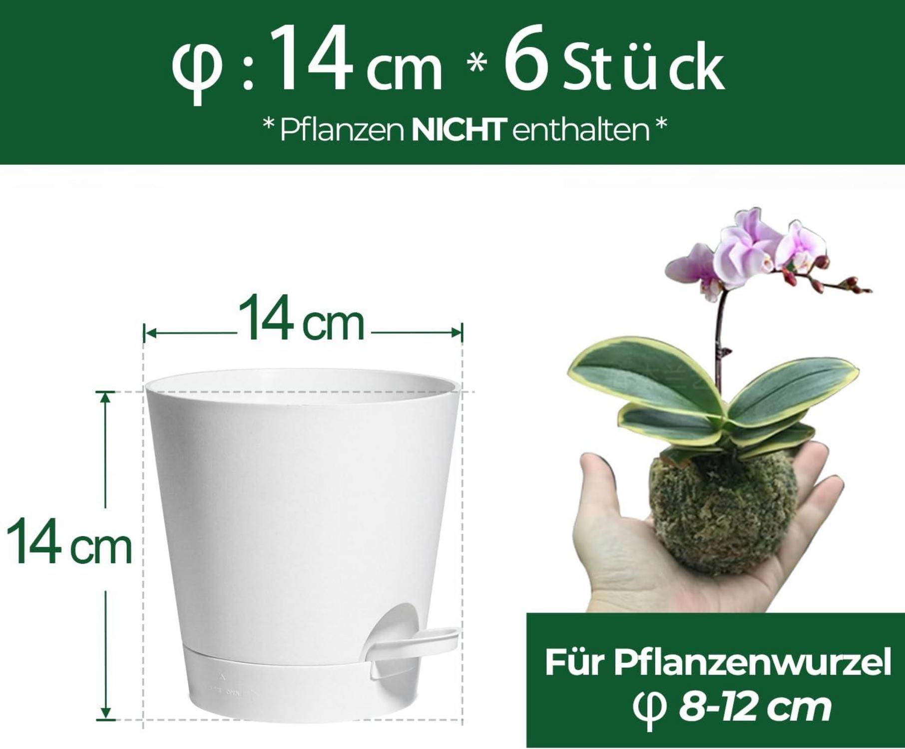 T4U 14cm Kunststoff Blumentopf Selbstbewässerung
