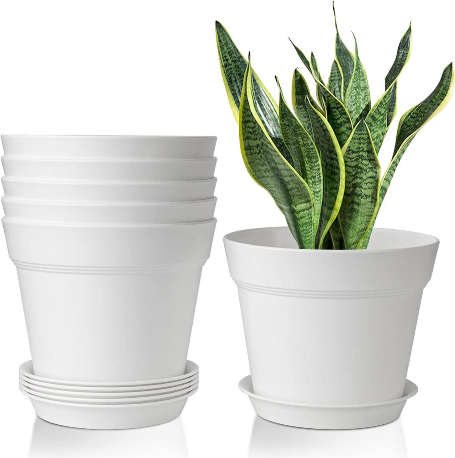 Blumentopf Kunststoff 19cm 6er-Set mit Untersetzer