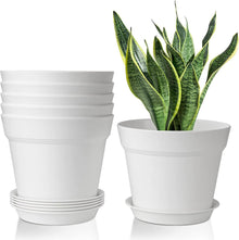 Blumentopf Kunststoff 19cm 6er-Set mit Untersetzer