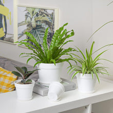 T4U 19cm Kunststoff Blumentopf mit Untersetzer, 6er-Set