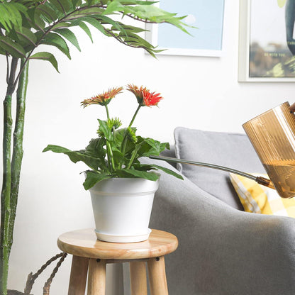 T4U 19cm Weißer Kunststoff Blumentopf Set für Sukkulenten Kaktus