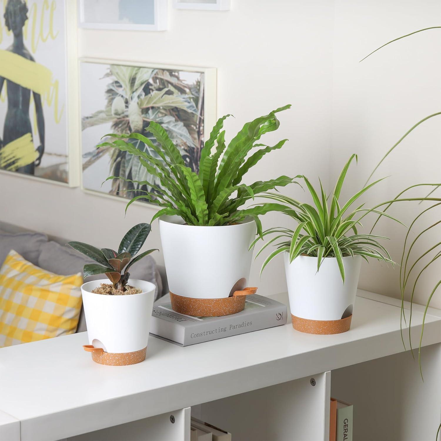 T4U 14cm Blumentopf mit Selbstbewässerung, 3er-Set mit Untersetzer, ideal für Sukkulenten und Kakteen