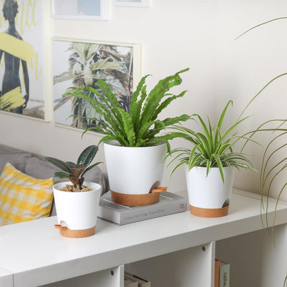 T4U 14cm Blumentopf mit Selbstbewässerung, 3er-Set mit Untersetzer, ideal für Sukkulenten und Kakteen