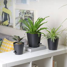 T4U 14cm Selbstbewässernder Kunststoff Blumentopf 6er-Set