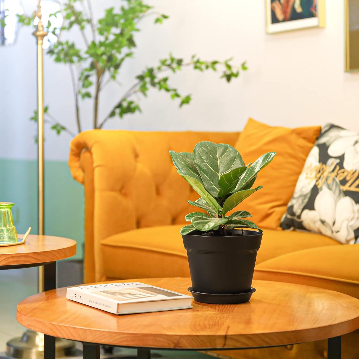 Kunststoff Blumentopf mit Untersetzer Mehrere Ablauflöcher 6er-Set