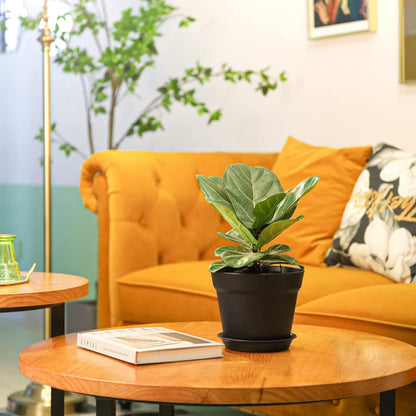 Kunststoff Blumentopf mit Untersetzer Mehrere Ablauflöcher 6er-Set