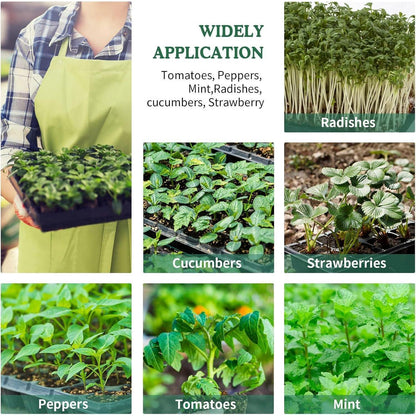 Zimmergewächshaus mit Deckel Pflanzkasten 10 Stk 120 Zellen