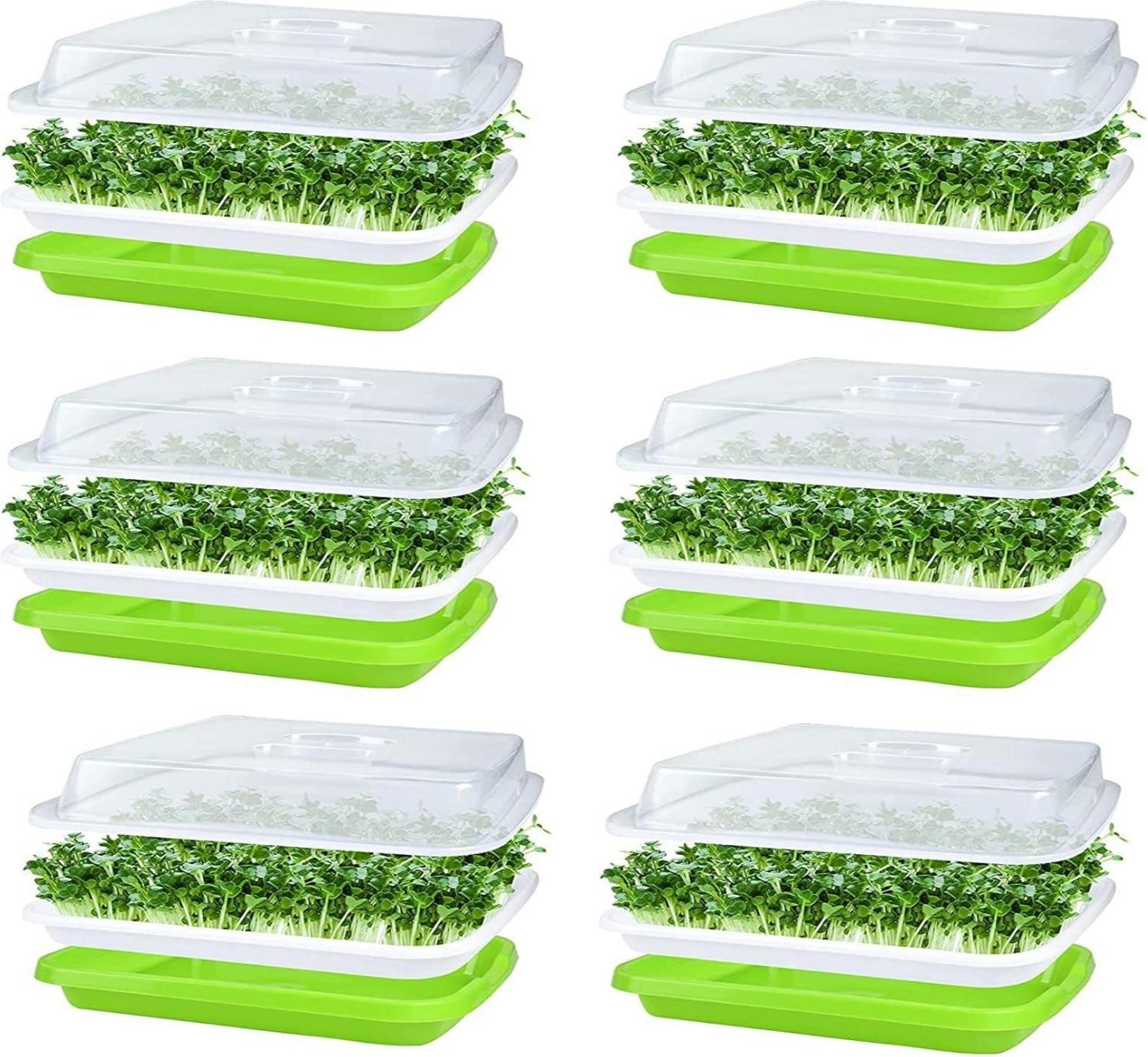 Keimschale Sprossen 6Pcs Seed Sprouter Tray Deckel groß Samen Tablett