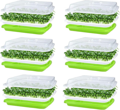 Keimschale Sprossen 6Pcs Seed Sprouter Tray Deckel groß Samen Tablett