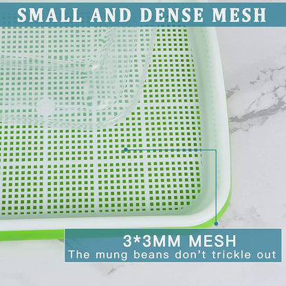 Keimschale Sprossen 6Pcs Seed Sprouter Tray Deckel groß Samen Tablett