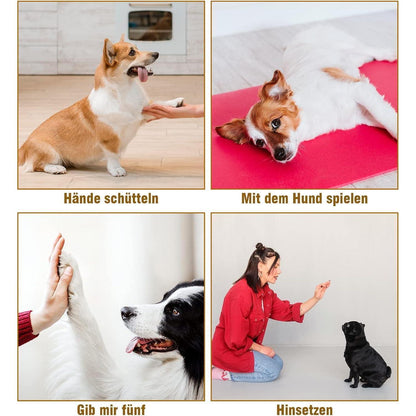 Hunde Clicker Set mit E-Book, 5 Stück, 5 Farben