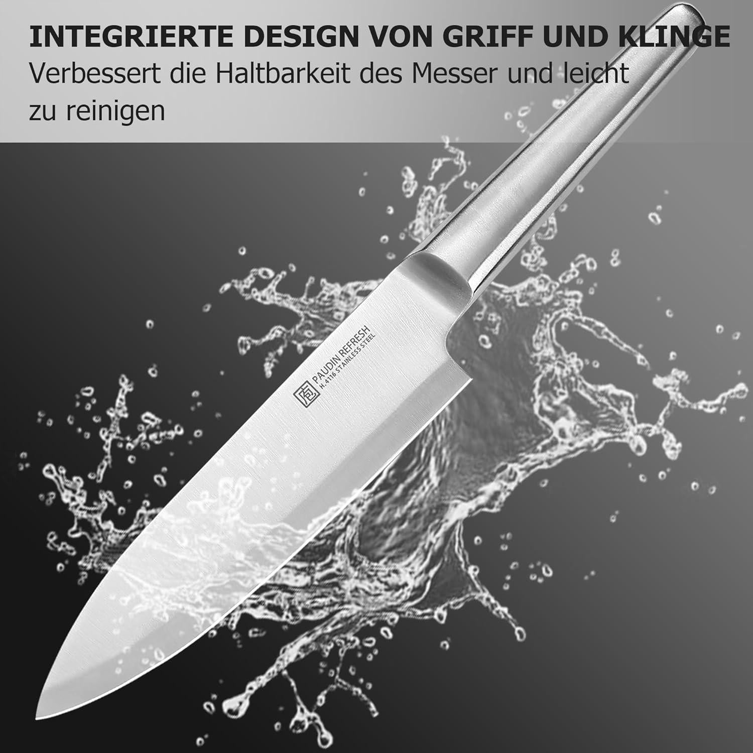 PAUDIN 5-teiliges Küchenmesserset aus Edelstahl in Geschenkbox