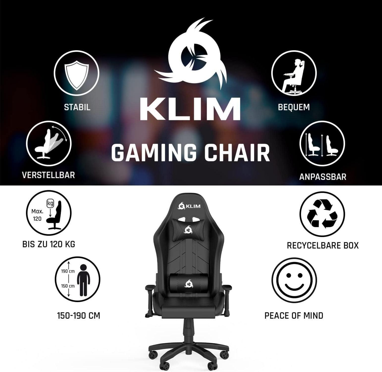 Gaming Chair 2024 Rücken- und Kopfstütze Ergonomischer Computerstuhl