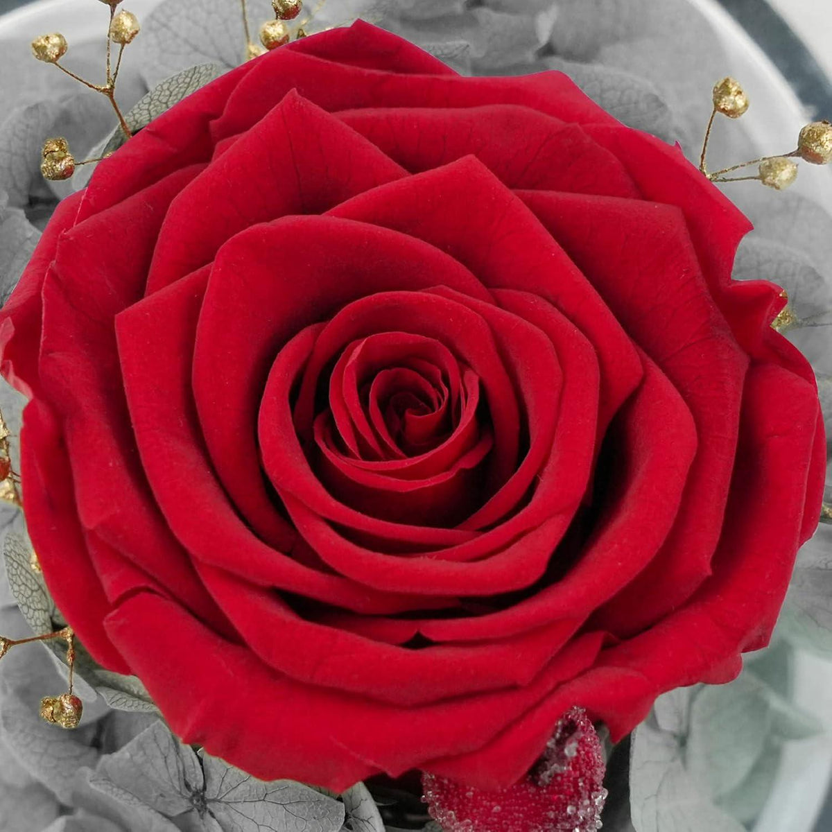 Ewige Rose im Glas mit Engel Figur, Geschenk für Frauen