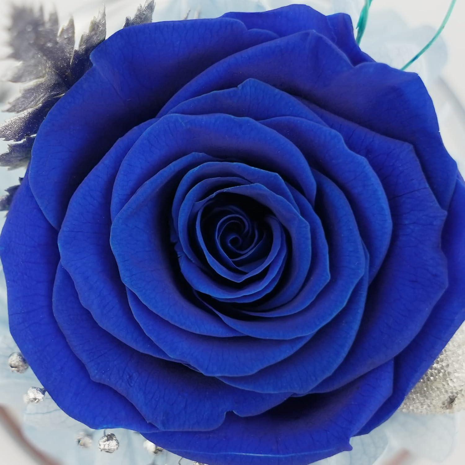 Ewige Rose Engel Glaskuppel Muttertagsgeschenk Blau