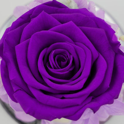 Ewige Rose im Engel Glaskuppel für Mama - Violett