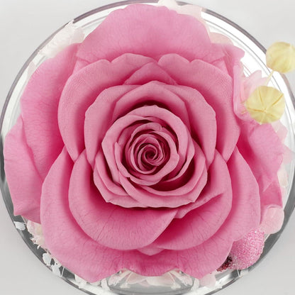 Ewige Rose Engel Figur Geschenkbox - Rosen Geschenk für Mama & Frauen