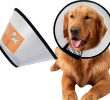 Verstellbares Hundekegel Halsband Anti Bite Schutzkragen