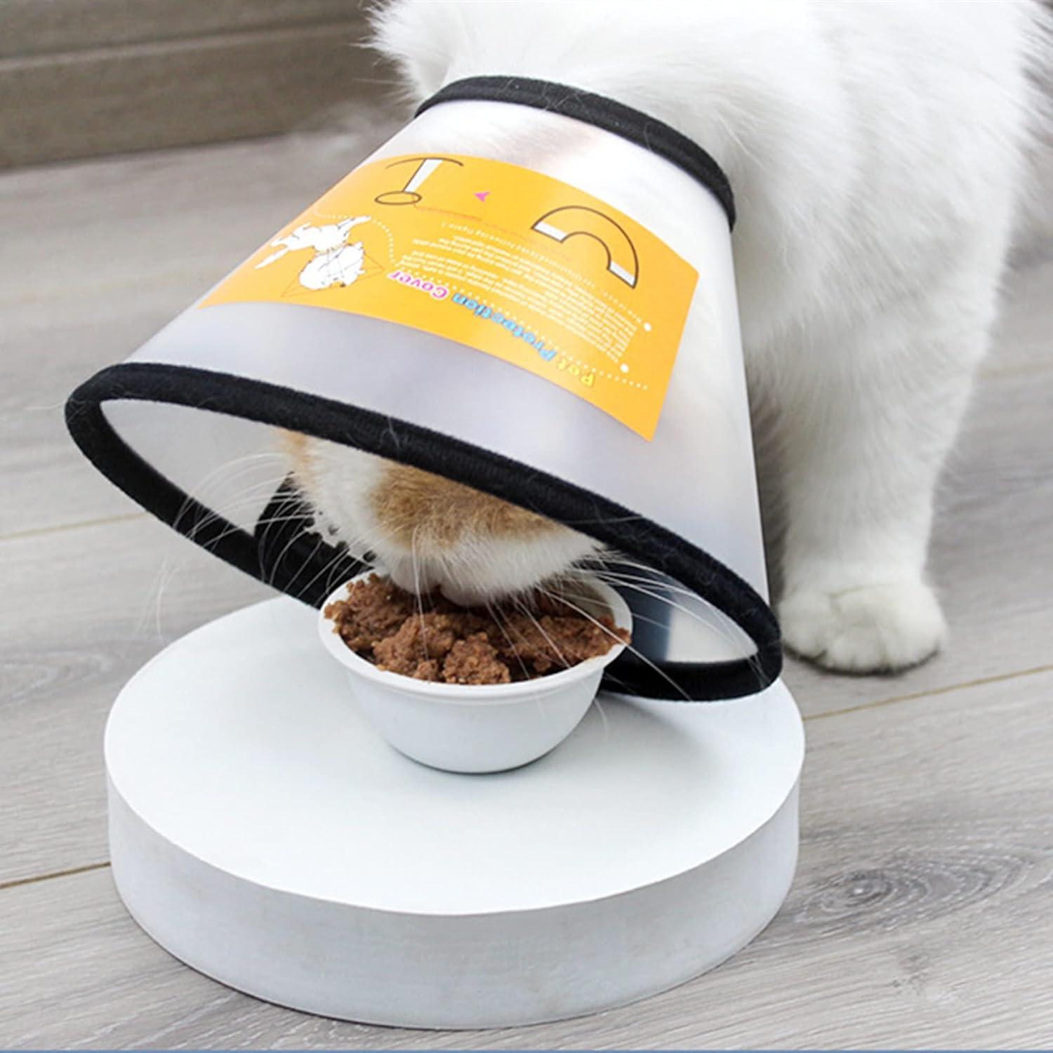 Verstellbares Hundekegel Halsband Anti Bite Schutzkragen