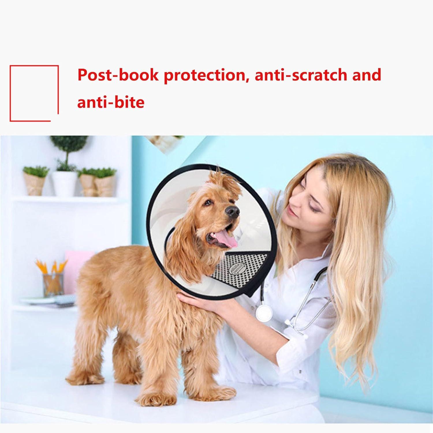 Hundekegel Halsband Verstellbar Anti-Bite Schutzkragen 31-37 cm