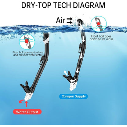 JEMULICE Schnorchelset Erwachsene Dry Schnorchel Tauchmaske