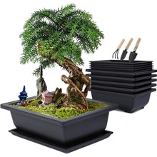 Bonsai Schale mit Untersetzer 6 Rechteckige Trainingstöpfe 3