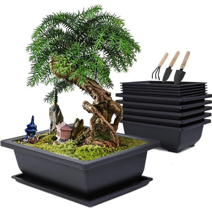 Bonsai Schale mit Untersetzer 6 Rechteckige Trainingstöpfe 3