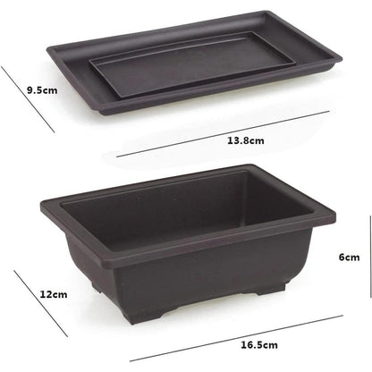 Bonsai Schale mit Untersetzer 6 Rechteckige Trainingstöpfe 3