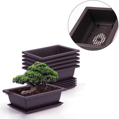 Bonsai Schale mit Untersetzer 6 Rechteckige Trainingstöpfe 3
