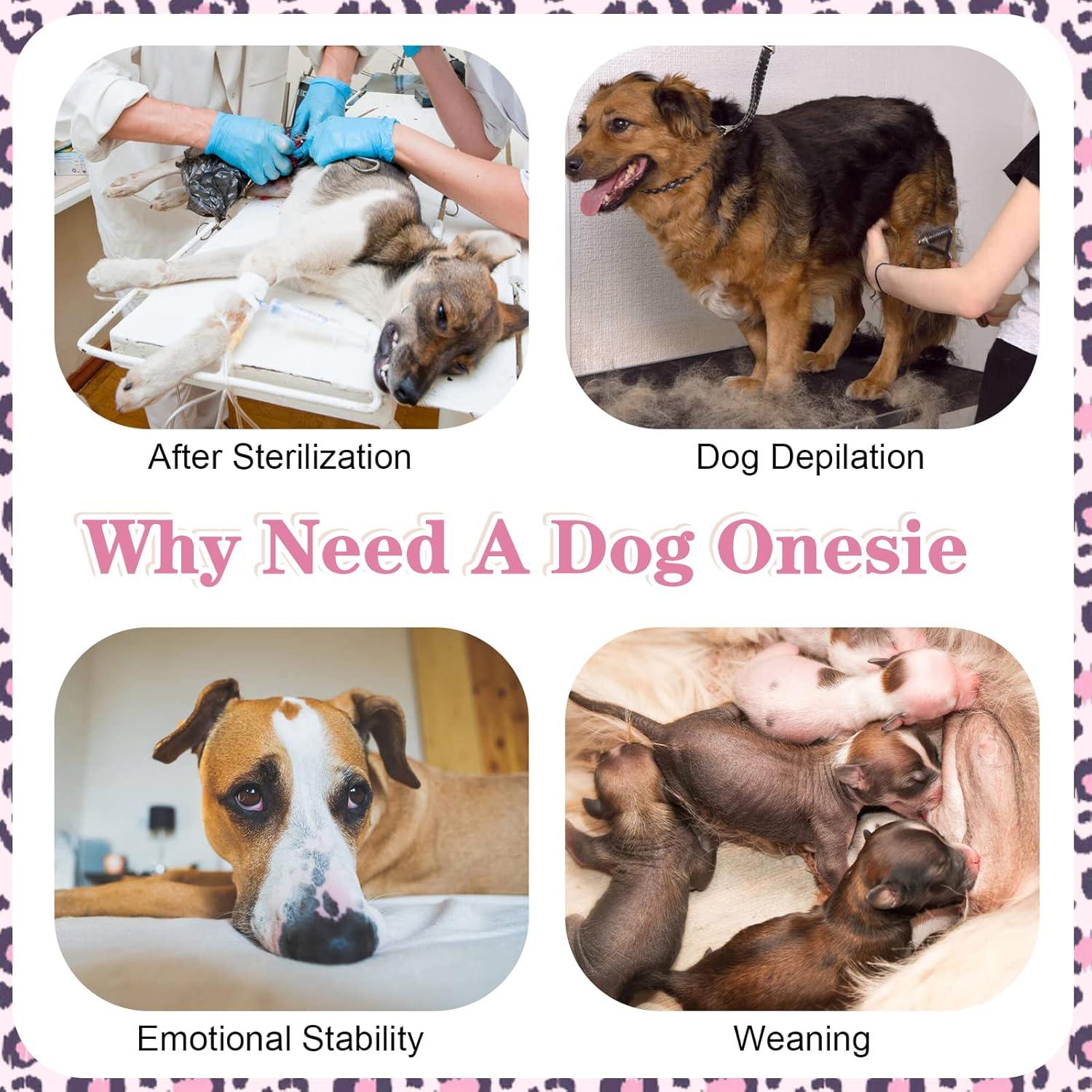 Kuoser Hundebody OP Katzenbody Atmungsaktiv Rüde Rosa Größe L