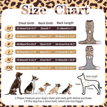 Hundebody OP Katzenbody Kastration Rüde Braun 2XL