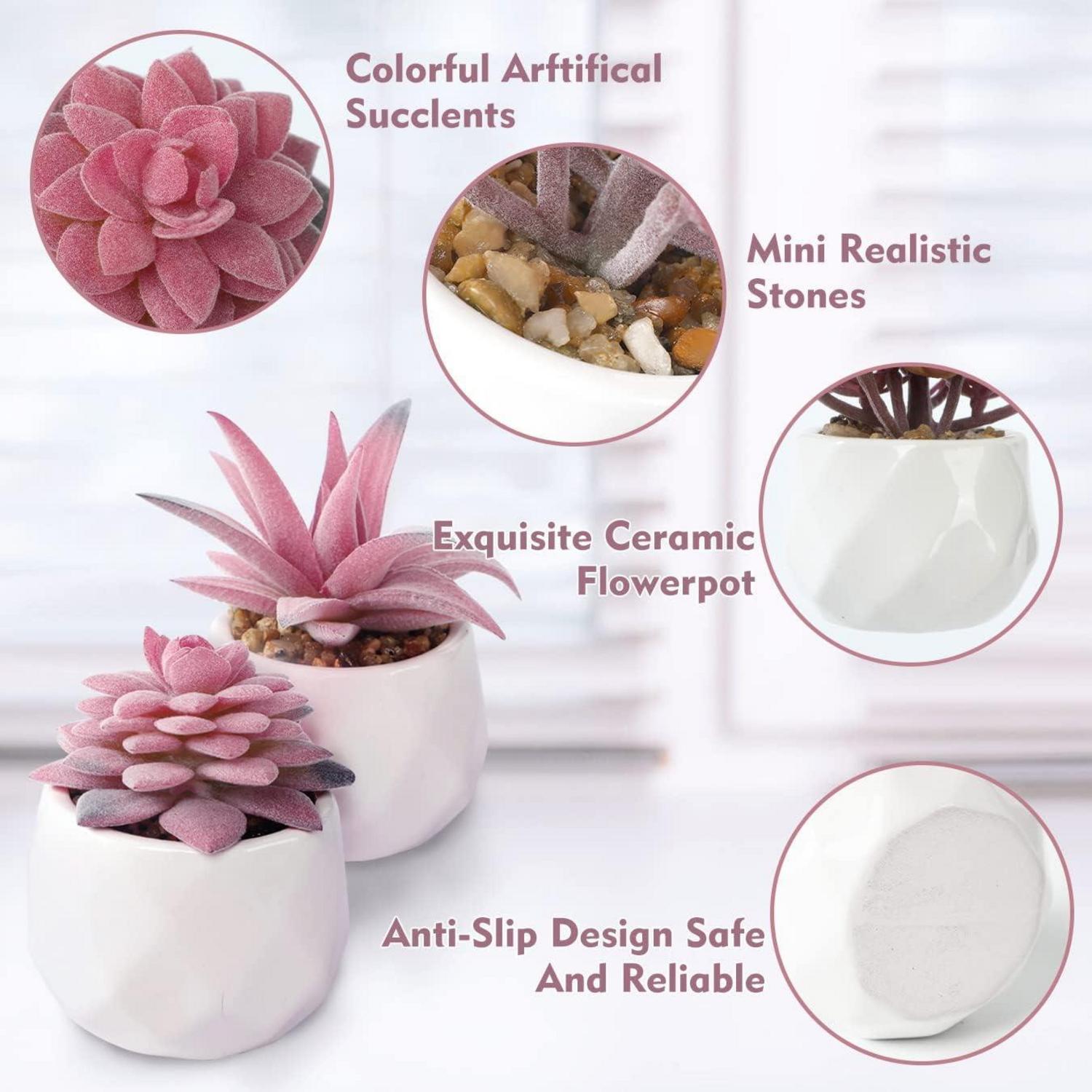 Künstliche Sukkulenten Pflanzen 4 Stück Mini Kunstpflanzen