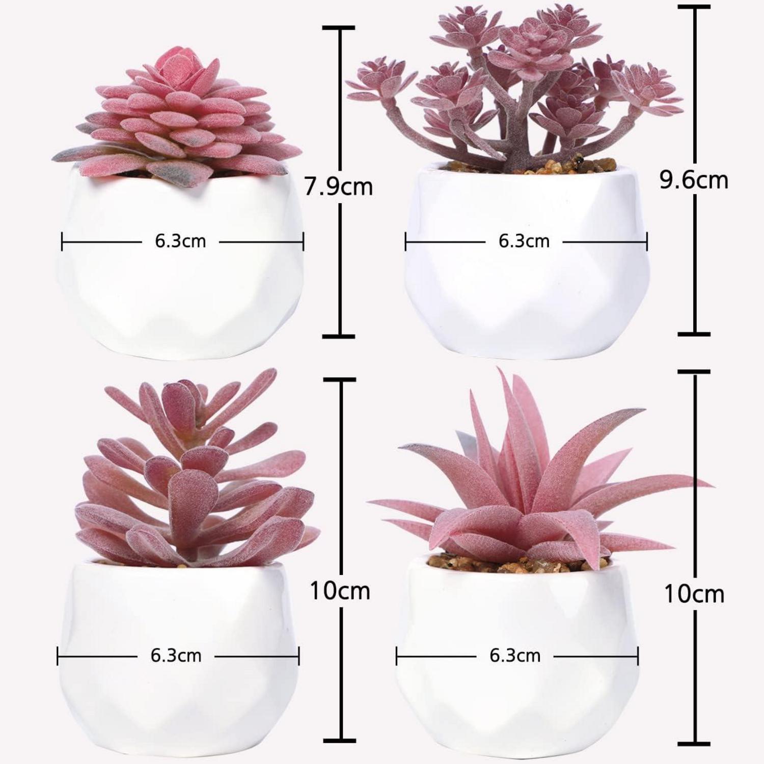 Künstliche Sukkulenten Pflanzen Set 4er Topf Tischdeko Wohnzimmer Büro