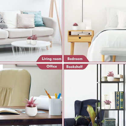 Künstliche Sukkulenten Pflanzen 4er Set Mini Kunstpflanzen Tischdeko