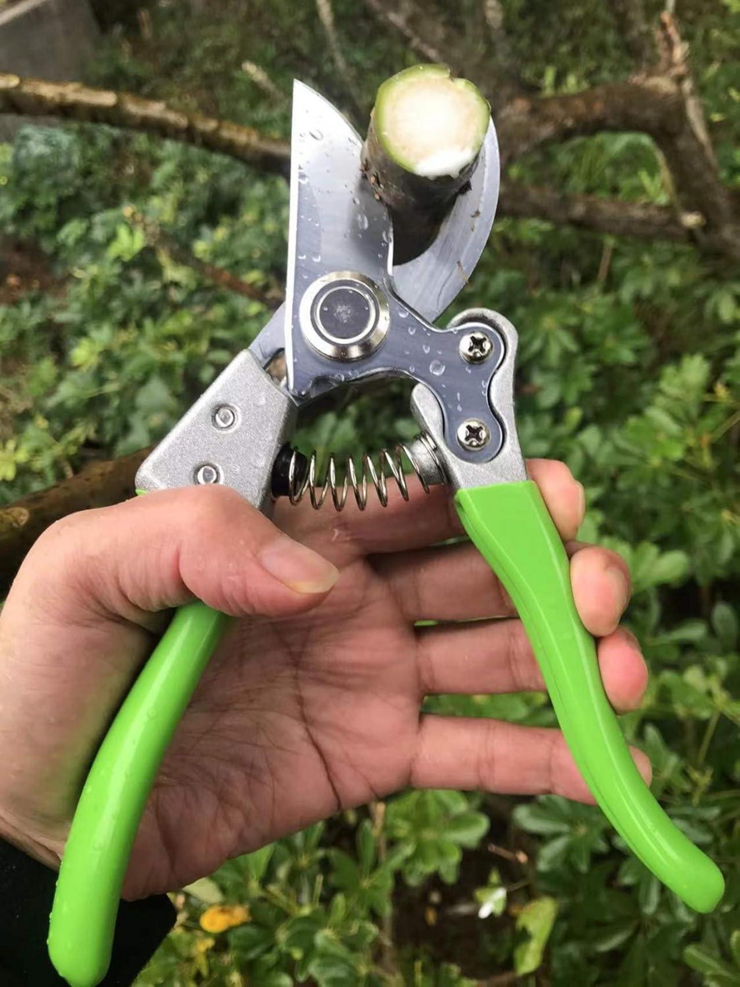 Horsvill Japanische Gartenschere SK4-Stahl Heavy Duty Gartenarbeit