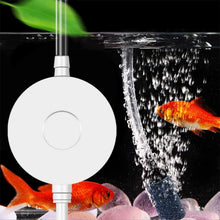 Leise 1W Aquarium Luftpumpe Sauerstoff <35dB mit Zubehör