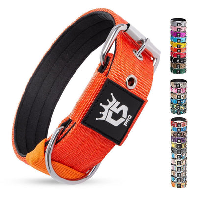 Taktisches Hundehalsband Größe L, Gepolstert, Orange