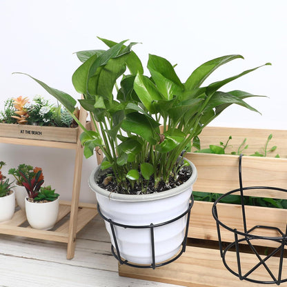 Balkon Blumentopf Halterung 5 StüCk Schwarz Eisen Platzsparendes Design