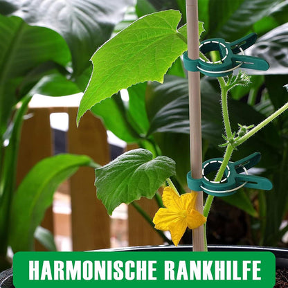 96 Stück Pflanzenclips für Tomaten Gurken Rosen Rankpflanzen Stabil
