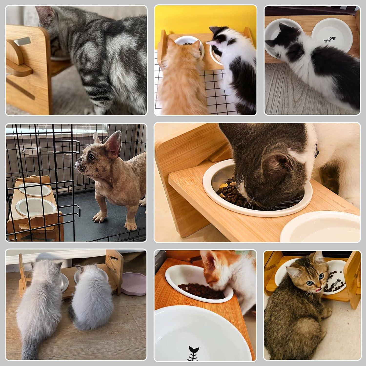 Katzennapf erhöht Keramik Futternapf für Katzen Hunde Set