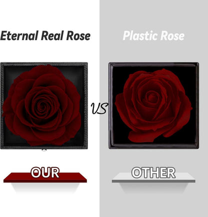 Ewige echte Rose mit I Love You Halskette in Geschenkbox