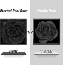 Ewige echte Rose mit I Love You Halskette in Geschenkbox