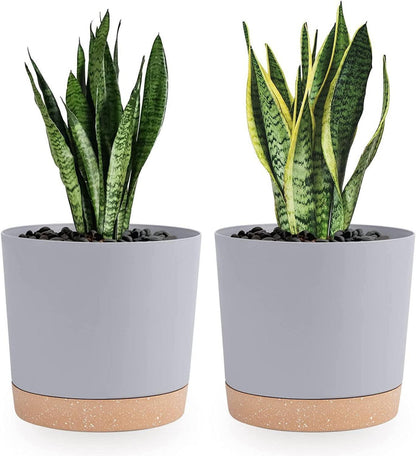 2er Pack Bumentöpfe 20,5cm für Zimmerpflanzen mit Entwässerungslöchern