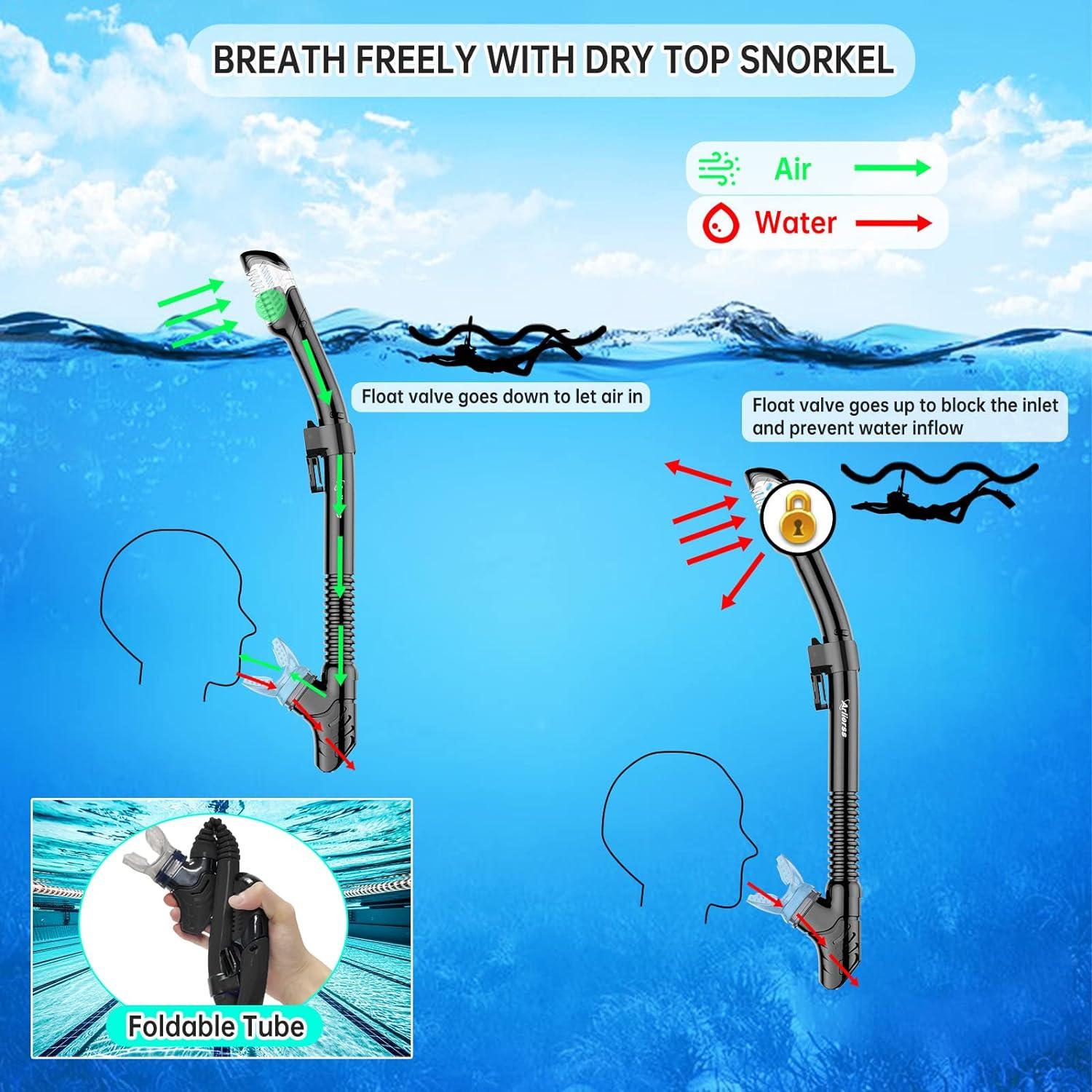 Schnorchelset Erwachsene mit Anti-Fog Taucherbrille Trocken Schnorchel